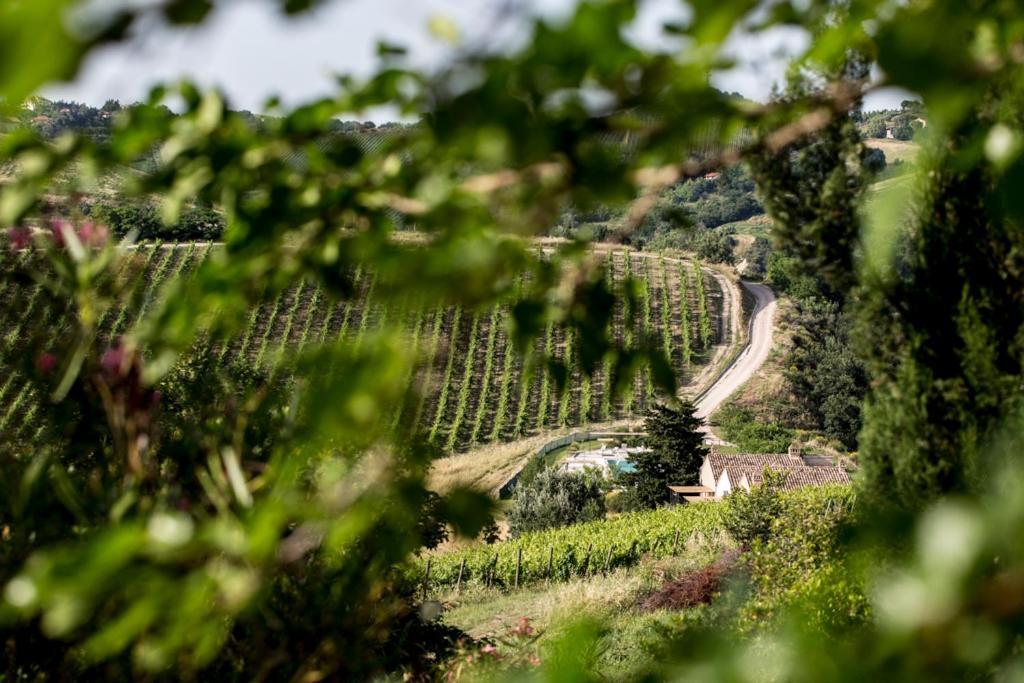 Casali Costadoro Acquaviva Picena Exterior photo